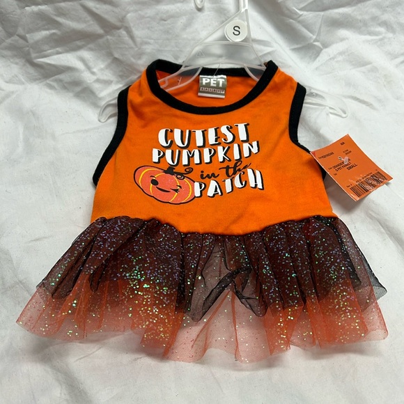 Cutest pumpkin in the patch outfit - Picture 2 of 6